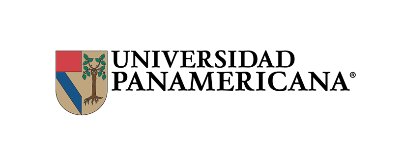 panamericana